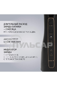 Ирригатор Polaris PWF 0201 портатив. импульсн. 5насад. черный