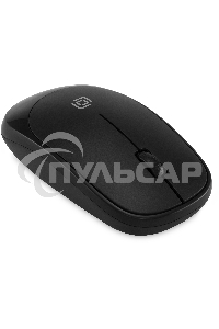 Комплект клавиатура + мышь Оклик S255W клав:черный мышь:черный USB беспроводная Multimedia (1909361)