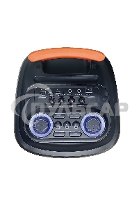 Колонка ELTRONIC 10