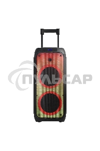 Колонка ELTRONIC 10