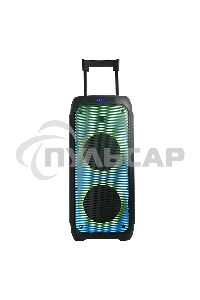 Колонка ELTRONIC 10