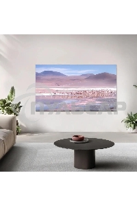 Телевизор TCL 43