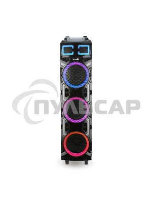 Колонка ELTRONIC 10