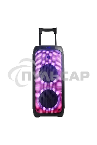 Колонка ELTRONIC 10