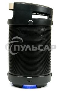 Портативная аудиосистема DIALOG AP-1030