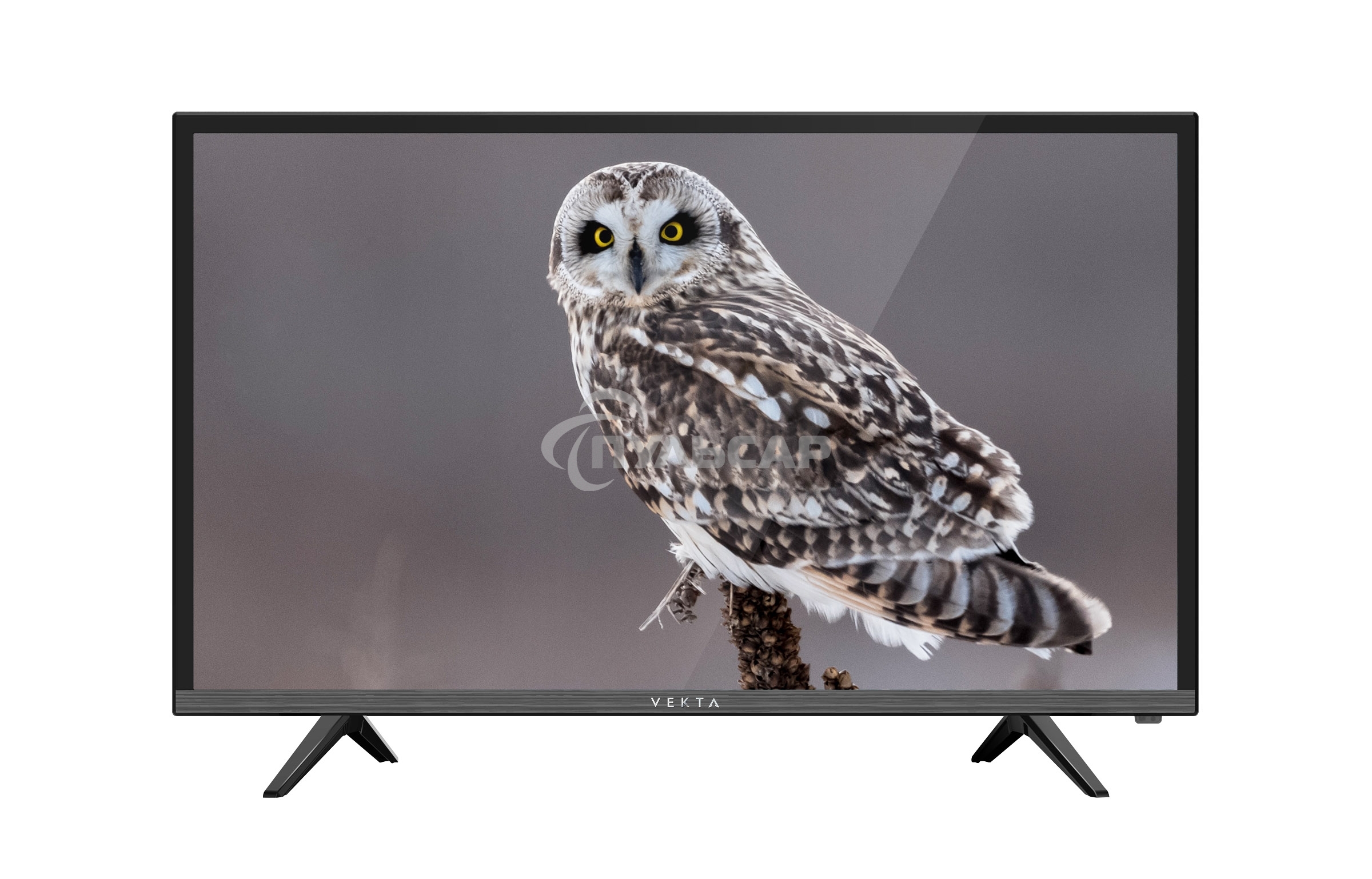 Телевизор Vekta 24