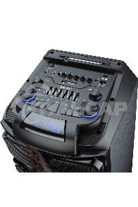 Колонка ELTRONIC 10