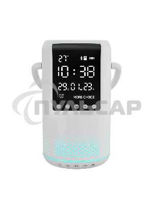 Колонка портативная MORE CHOICE (4610196406898) BS25 белый