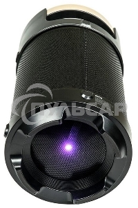 Портативная аудиосистема DIALOG AP-1030