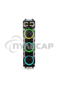 Колонка ELTRONIC 10