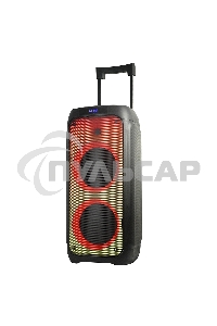 Колонка ELTRONIC 10