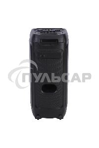 Колонка ELTRONIC 10