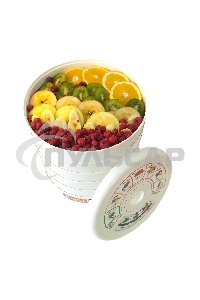 Сушилка для овощей и фруктов Renova DVN31-500/5(R)