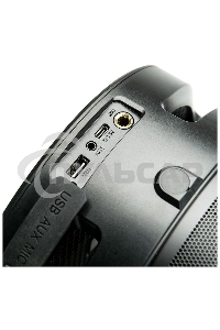 Портативная аудиосистема DIALOG AP-1030