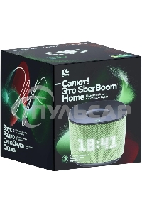 Умная колонка Sber Boom Home SBDV-00171VB Салют св.зеленый 8W Mono BT/Wi-Fi