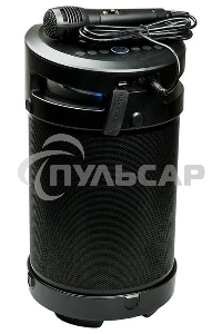 Портативная аудиосистема DIALOG AP-1030