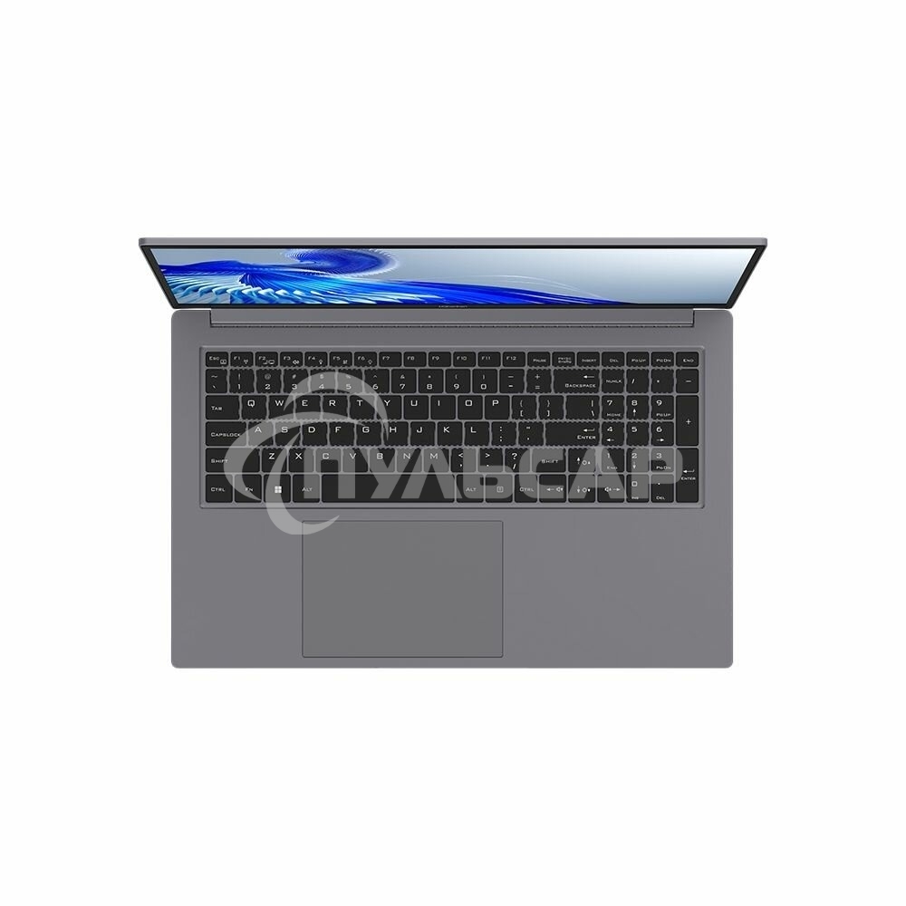 Ноутбук Maibenben P725 серый P7251SF0LGRE0 17.3