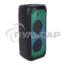 Колонка ELTRONIC 10