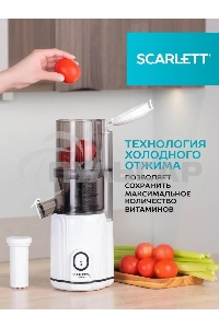 Соковыжималка шнековая Scarlett SC-JE50S63 400Вт рез.сок.:600мл. белый