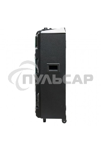 Колонка ELTRONIC 10