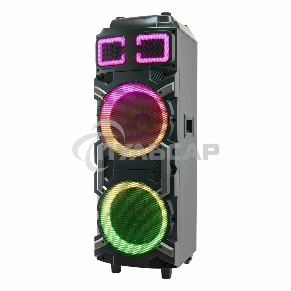 Колонка ELTRONIC 10