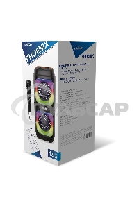 Портативная акустика Smartbuy (SBS-5490) PHOENIX черный