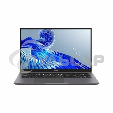 Ноутбук Maibenben P725 серый P7251SF0LGRE0 17.3