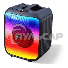 Портативная акустика SMARTBUY (SBS-5520) черный