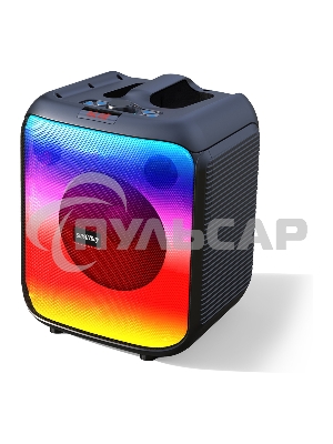 Портативная акустика SMARTBUY (SBS-5520) черный