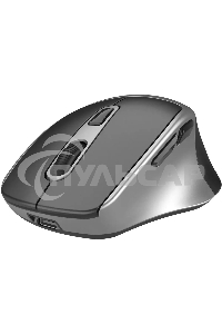 Мышь беспроводная Oklick 516MW черный/серебристый, 1600 dpi, радиоканал, Bluetooth, USB, кнопки - 6