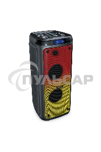 Портативная акустика Smartbuy (SBS-5550) черный