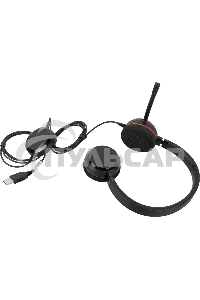 Гарнитура Jabra EVOLVE 20 MS Stereo USB
