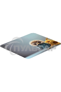 Коврик для мыши Cactus Owl gray 300x250x3мм (CS-MP-D12M)