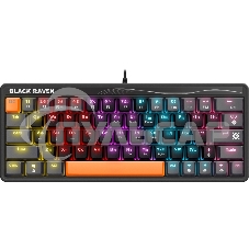 Клавиатура проводная Defender Black Raven GK-417, USB, черный