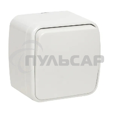 Выключатель EKF Basic Минск EGV10-021-10 1-клавишный ОП 10А белый