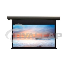 Экран с электроприводом Lumien Cinema Control 241x400 см (раб.область 220х390 см) Matte White черная кайма по периметру, серый корпус, 16:9
