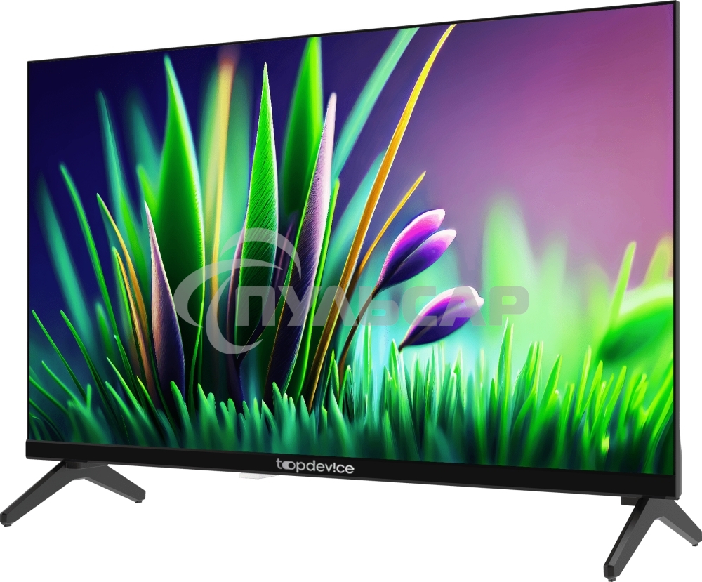 Телевизор TopDevice 24