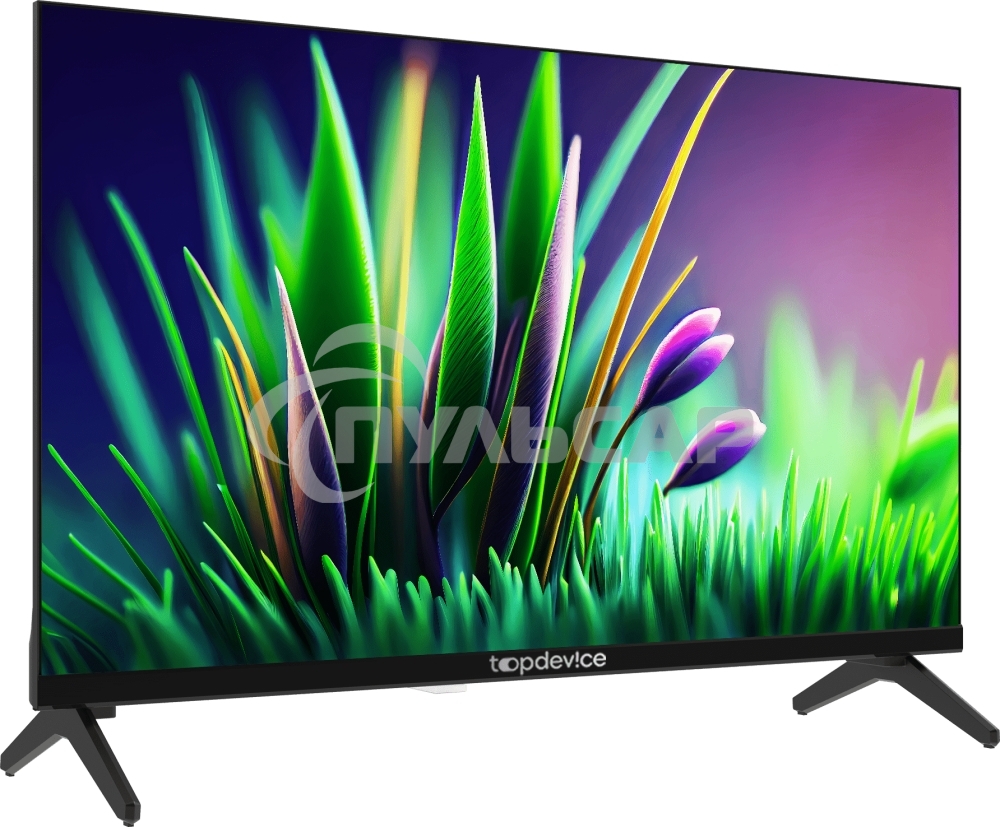 Телевизор TopDevice 24
