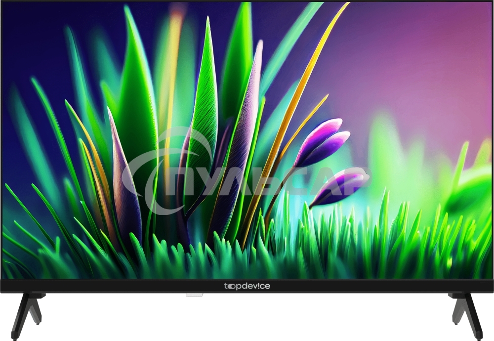 Телевизор TopDevice 24