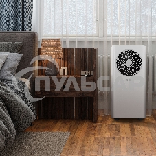 Кондиционер мобильный Ballu Orbis BPAC-07 OR/N6