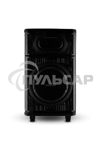 Колонка ELTRONIC (30-82) SKILLETS BOX 1000 - 10 