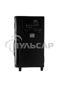 Колонка ELTRONIC (30-82) SKILLETS BOX 1000 - 10 