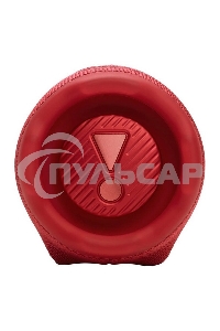 Портативная колонка JBLCHARGE6RED красный
