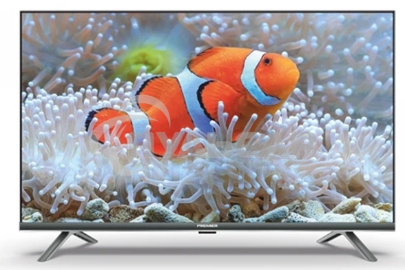 Телевизор PREMIER 55