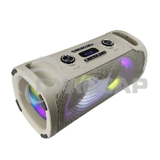 Акустическая колонка ELTRONIC (30-85) DANCE BOX 900 - колонка 06