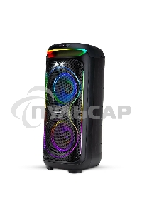 Колонка Eltronic 08