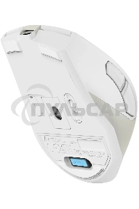 Мышь беспроводная A4Tech Fstyler FG45CS Air2 бежевый, 2000 dpi, радиоканал, USB, кнопки - 7