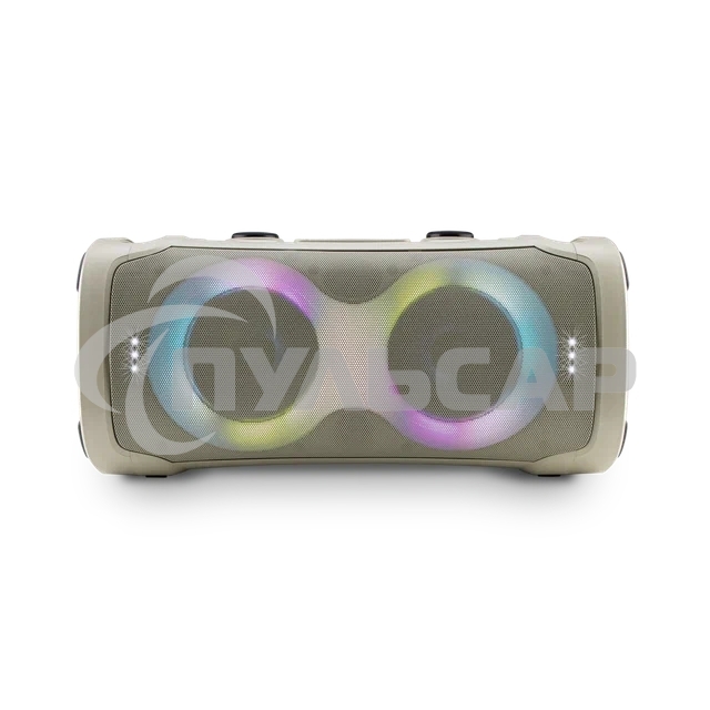 Акустическая колонка ELTRONIC (30-85) DANCE BOX 900 - колонка 06