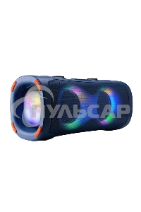 Акустическая колонка ELTRONIC (30-85) DANCE BOX 900 - колонка 06