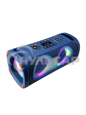 Акустическая колонка ELTRONIC (30-85) DANCE BOX 900 - колонка 06